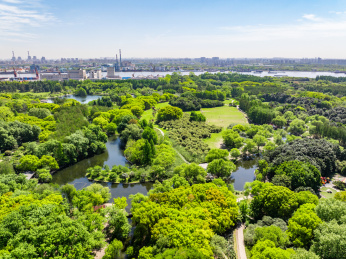 航拍上海城市公园共青森林公园都市风景