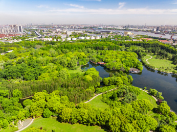 航拍上海城市公园共青森林公园都市风景