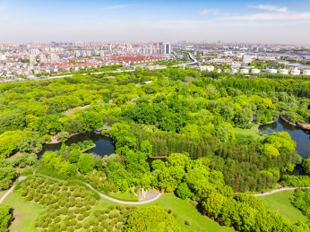 航拍上海城市公园共青森林公园都市风景