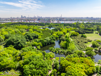 航拍上海城市公园共青森林公园都市风景