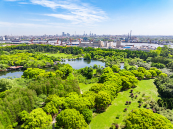 航拍上海城市公园共青森林公园都市风景