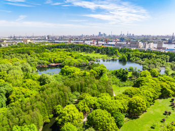 航拍上海城市公园共青森林公园都市风景
