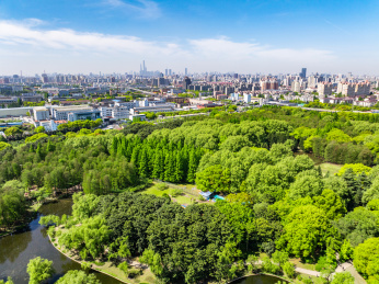航拍上海城市公园共青森林公园都市风景