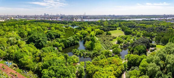 航拍上海城市公园共青森林公园都市风景