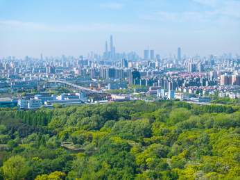 航拍上海城市公园共青森林公园都市风景