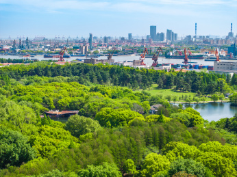 航拍上海城市公园共青森林公园都市风景