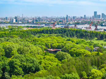 航拍上海城市公园共青森林公园都市风景