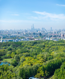 航拍上海城市公园共青森林公园都市风景