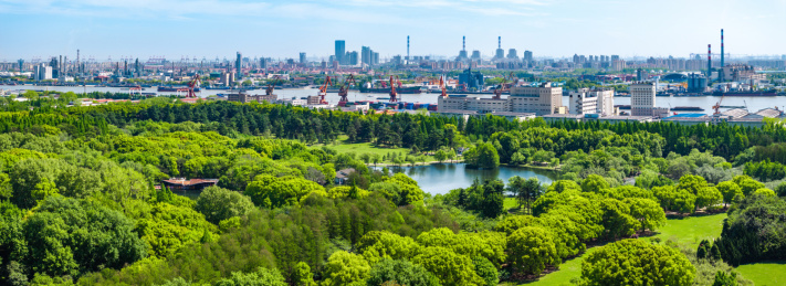 航拍上海城市公园共青森林公园都市风景