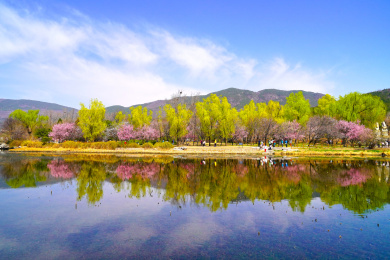 北京：国家植物园春花繁茂美如油画