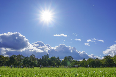 英国苏格兰爱丁堡大学校园绿地和草坪