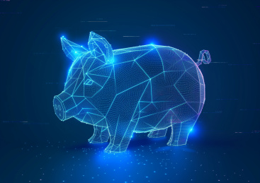 存钱猪 存钱 光线 理财