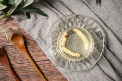 桌面上的杯子里的甘甜可口的地蚕茶