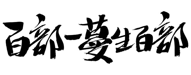 百部蔓生百部中药名称手写书法字体