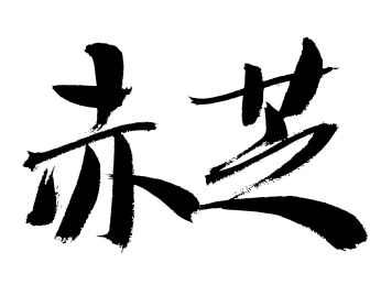 赤芝中药名称手写书法字体