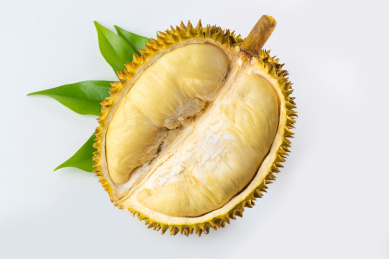 白底上剥开的半个金枕榴莲露出饱满果肉