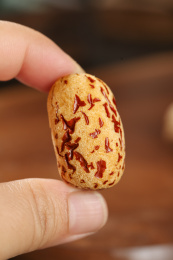 去皮去核枣