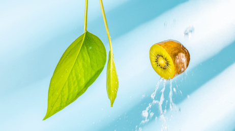 在蓝色背景下被水溅的猕猴桃