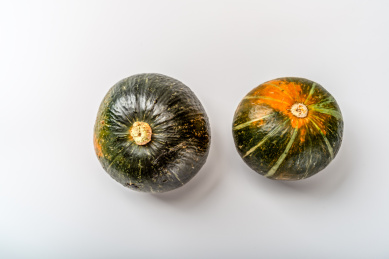 白色背景下两个南瓜贝贝瓜