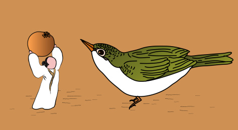 古风国潮鸟雀枇杷喂鸟工笔白描手绘矢量插画