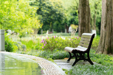 宁静公园长椅旁的鹅卵石小径在大自然中