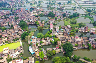 广东江门古劳水乡桑基鱼田岭南水乡风光