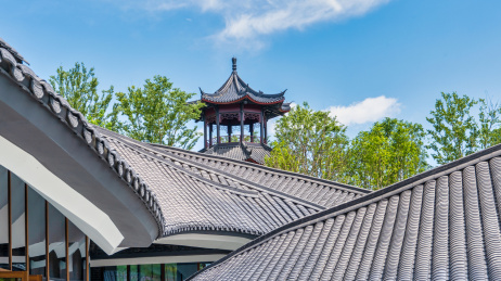 2024成都世界园艺博览会建筑细节