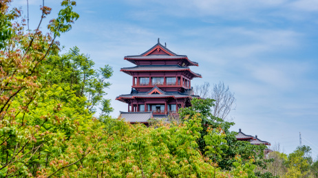 2024成都世界园艺博览会锦云楼建筑