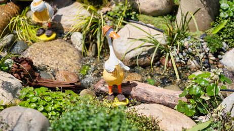 2024成都世界园艺博览会园艺小品