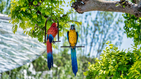 2024成都世界园艺博览会园艺小品