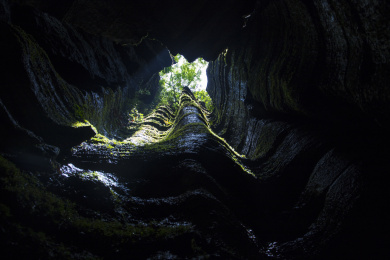 湖北恩施索布垭石林