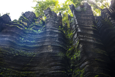 湖北恩施索布垭石林