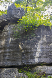 湖北恩施索布垭石林