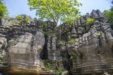 湖北恩施索布垭石林