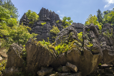 湖北恩施索布垭石林