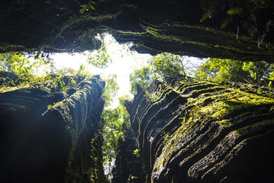 湖北恩施索布垭石林