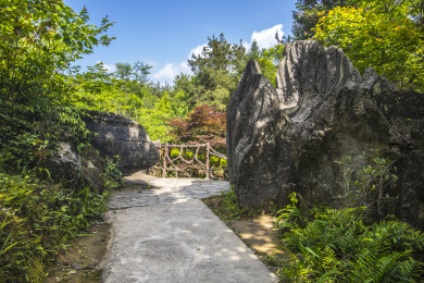 湖北恩施索布垭石林