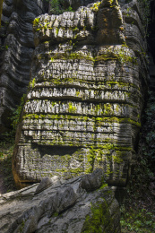 湖北恩施索布垭石林