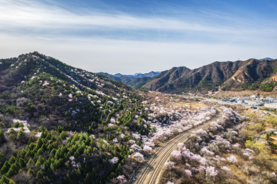 北京居庸关花海