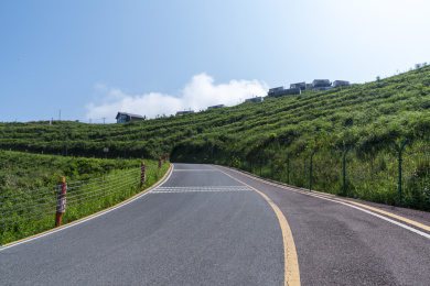 八面山自然保护区公路
