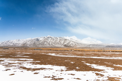中国西藏念青唐古拉山下的羌塘草原风光