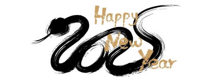 蛇年抽象书法艺术