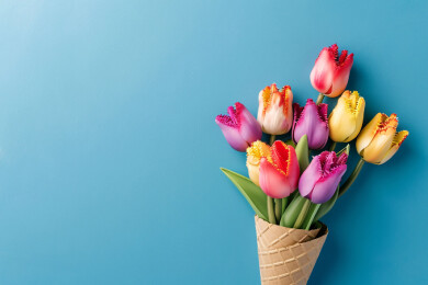 郁金香花束妇女节感恩节母亲节概念插图