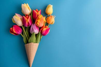 郁金香花束妇女节感恩节母亲节概念插图