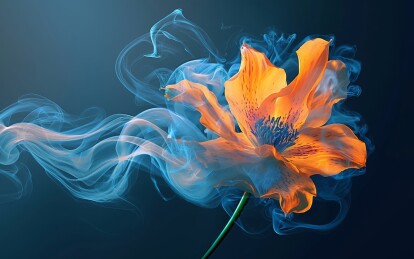 黑色背景，梦幻橙色花朵和烟气烟雾