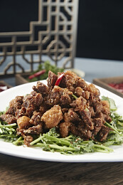 美味孜然烧羊肉
