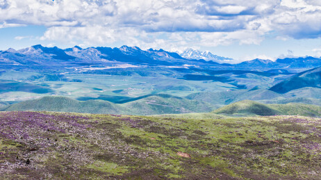 四川西部甘孜新都桥镇鱼子西景区远望雪山