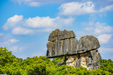 云南省昆明市石林公园万年灵芝岩石自然景观