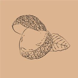 国潮古人剥荔枝微景矢量手绘中国风插画线稿