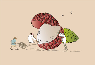 国潮古人采摘荔枝微景矢量中国风插画素材